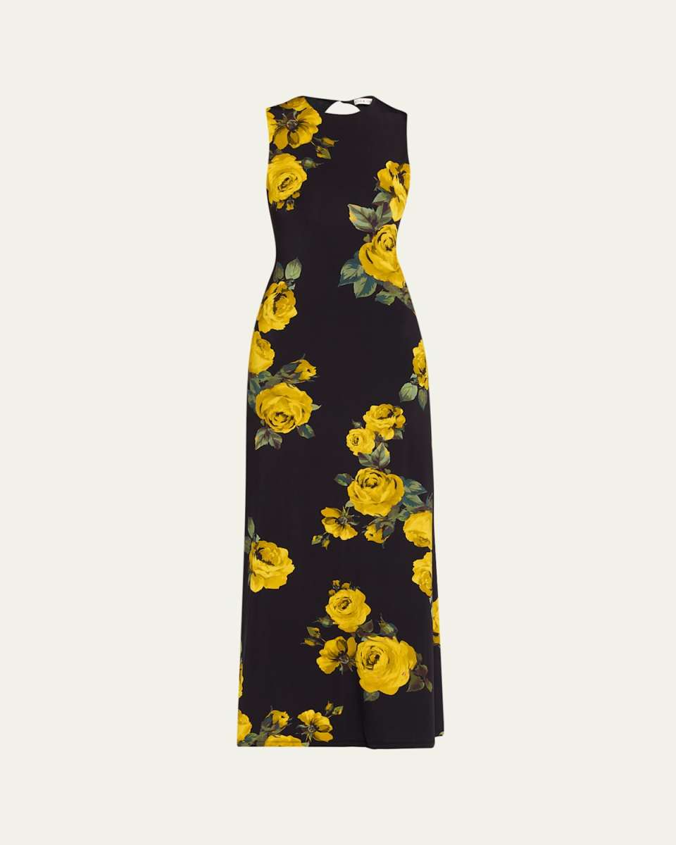 Delora Rosehips Open-Back Sleeveless Maxi Dress